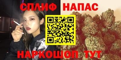 ECSTASY Боровичи
