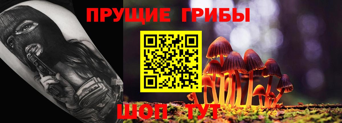 Галлюциногенные грибы Psilocybe  цена   Великий Новгород  Вход с VPN 